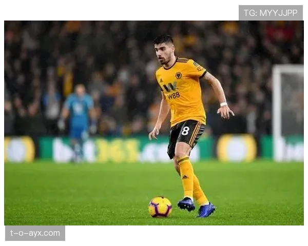 狼队明星球员表现稳健,助力球队争夺关键胜利趋势分析